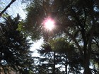 Picture for song 'Il giardino roccioso' by artist 'The Grains Music'