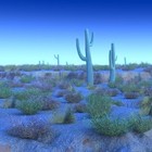 Picture for song 'Searching the Desert for the Blues' by artist 'The Greenwood Misses'
