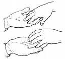 Picture for song 'Tenderness' by artist 'The Hand of God'