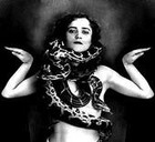 Picture for song 'Amor Psycho' by artist 'The Hollow Circle'