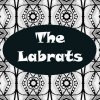 Picture for song 'A New Sun Rising' by artist 'The LabRats'