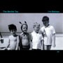 Picture for song 'Why Can't I Say What I Mean?' by artist 'the marble tea'
