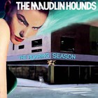 Picture for song 'Skyfire Lightning' by artist 'The Maudlin Hounds'