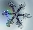 Picture for song 'Waltz of the Snowflakes' by artist 'The Nutcracker Suite - Electronique'