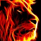 Picture for song 'Fire' by artist 'THE OFFICIAL KING BEATZ'