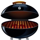 Picture for song 'Put it On The Grill ft John E Memphis' by artist 'TheRapper'