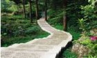 Picture for song 'God Will Make a Way' by artist 'The Redeemed 4'