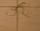 Picture for song 'Childhood Fields' by artist 'THE SADWING FIDDLE'