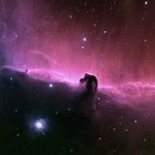 Picture for song 'Gut Feelings in Horsehead' by artist 'The Serendipitous Cacophonies'