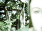 Picture for song 'Wackybackie' by artist 'The Snoot'