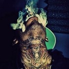 Picture for song '::SOLD:: - LETz BLoW (Digital Beatz)' by artist 'The TrendsetterZ'