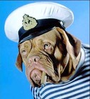 Picture for song 'The Old Sea Dogs' by artist 'The Unsurpassed Masters of the Universe'