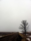 Picture for song 'The Road' by artist 'The Vault - Selections from Our Scatalogue'