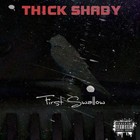Picture for song 'Facing the charge' by artist 'Thick Shady'