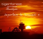 Picture for song 'Departure to Terminal 4' by artist 'Tigerforest'
