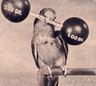Picture for song ''The Weight of Your Life'' by artist 'Tim Green'