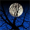 Picture for song 'B - In the Moonlight' by artist 'Tom Rasila'