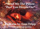 Picture for song ''Send Me The Pillow That You Dream On' by artist 'Tom Tripp'