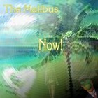 Picture for song 'All the Kings Horses featuring the Malibus' by artist 'Tony DeLecce'