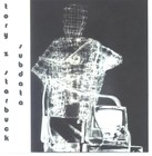 Picture for song 'dinner at sprong temple' by artist 'tory z starbuck'