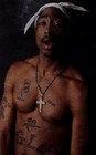 Picture for song '2pac Would Bump This(R.I.P. Pac)' by artist 'Traumatized Ent'