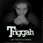 Picture for song '01. Triggah - Der Kasten is'n Eimer (Intro)' by artist 'Triggah (Wuppertal)'