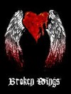 Picture for song 'broken wings' by artist 'truesoldier'