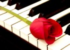 Picture for song 'Down 4 U with Mista Perez Feat Trulala' by artist 'TruLala'