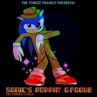 Picture for song 'Tryezz - Sonic's Poppin' Groove: The Preview Mix' by artist 'Tryezz'