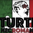 Picture for song 'Spaghetti and Hip Hop' by artist 'Turtle Necromancer'