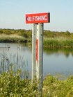 Picture for song 'Dj Reccy - Fishin 4 ufos' by artist 'Twixies Phantasy People'