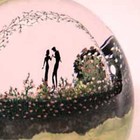 Picture for song 'pardon' by artist 'Ucantdothattome'