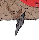 Picture for song 'Billed For Rights' by artist 'Unh Huh and the Yeah Whatevers'