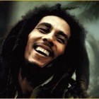 Picture for song 'Jammin - Bob Marley Type Beat (REGGAE)' by artist 'UnusualBeatz'