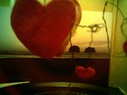 Picture for song 'hoping for the best- 1/08 demo' by artist 'Upsidedown Cat'
