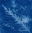 Picture for song 'sur une autre planete' by artist 'Upsidedown Cat'