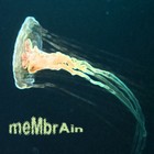 Picture for song 'mEmBrAin' by artist 'Guerilla Genus'