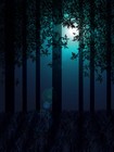 Picture for song 'Moonlight Madness' by artist 'USP Records'
