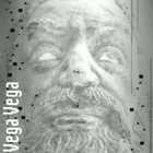 Picture for song 'refit your mind' by artist 'VEGA VEGA'