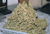 Picture for song 'All Dirty Dope' by artist 'Verse420'
