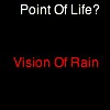 Picture for song 'What's The Point Of Life?' by artist 'Vision Of Rain'