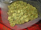 Picture for song 'CRUMBLIN HERB' by artist 'WEEDGBOARD'