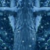 Picture for song 'forest visitor' by artist 'Whispered Silent'
