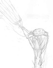 Picture for song 'Lilli Belle See the Drawings----> full' by artist 'White Violin'