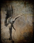 Picture for song 'Angels With Bloody Wings' by artist 'White Virus A.K.A. Nexx Phaze'