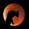 Picture for song 'Witchy Woman' by artist 'Wicked Willow'