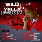 Picture for song 'Prove It' by artist 'Wild Yella HOODSTAR'