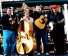 Picture for song 'Applejack' by artist 'Willow Branch'