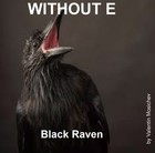 Picture for song 'BLACK RAVEN' by artist 'WITHOUT E'
