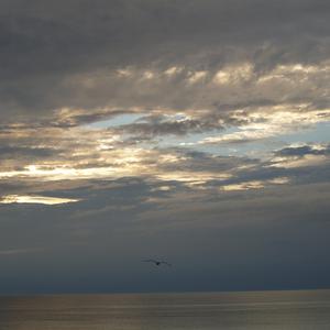 Picture for song 'Dancing in the skies' by artist 'Wolfgang Dorn'